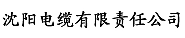 香蕉视频你懂得电缆厂logo